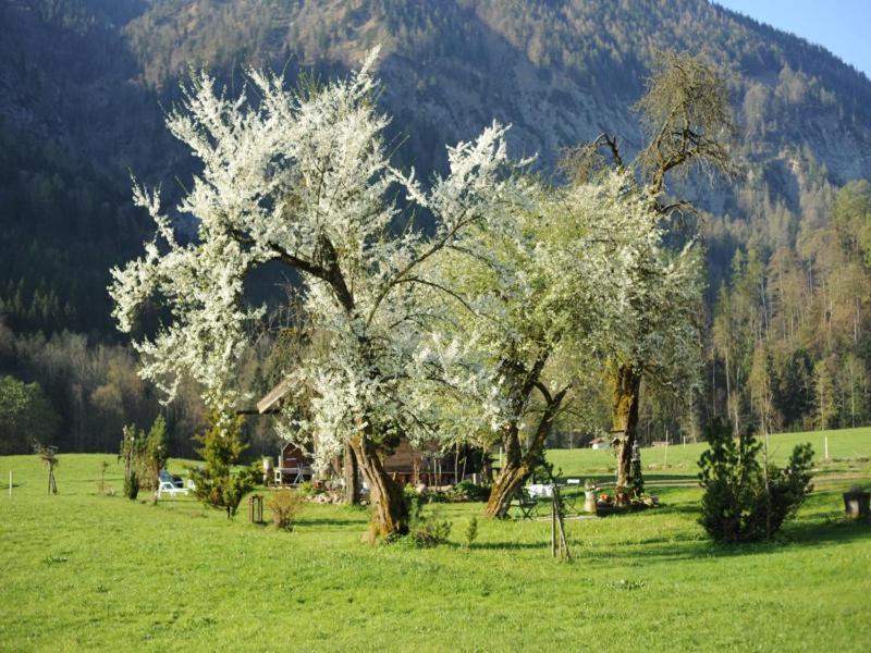Hansenbauernhof Inkl. Chiemgaukarte 루폴딩 외부 사진
